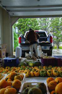 Quinn weighs some of his produce from the fall harvest, mostly melons and carnival squash. He compares the weights of this year to those of the previous year. These vegetables are for family and friends. PHOTO BY GABBY FRIEDLANDER | STAFF PHOTOGRAPHER