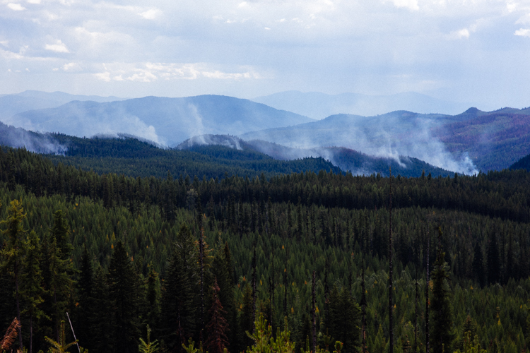 The Gold Hill fire burns in Kootenai National Forest in September 2018.