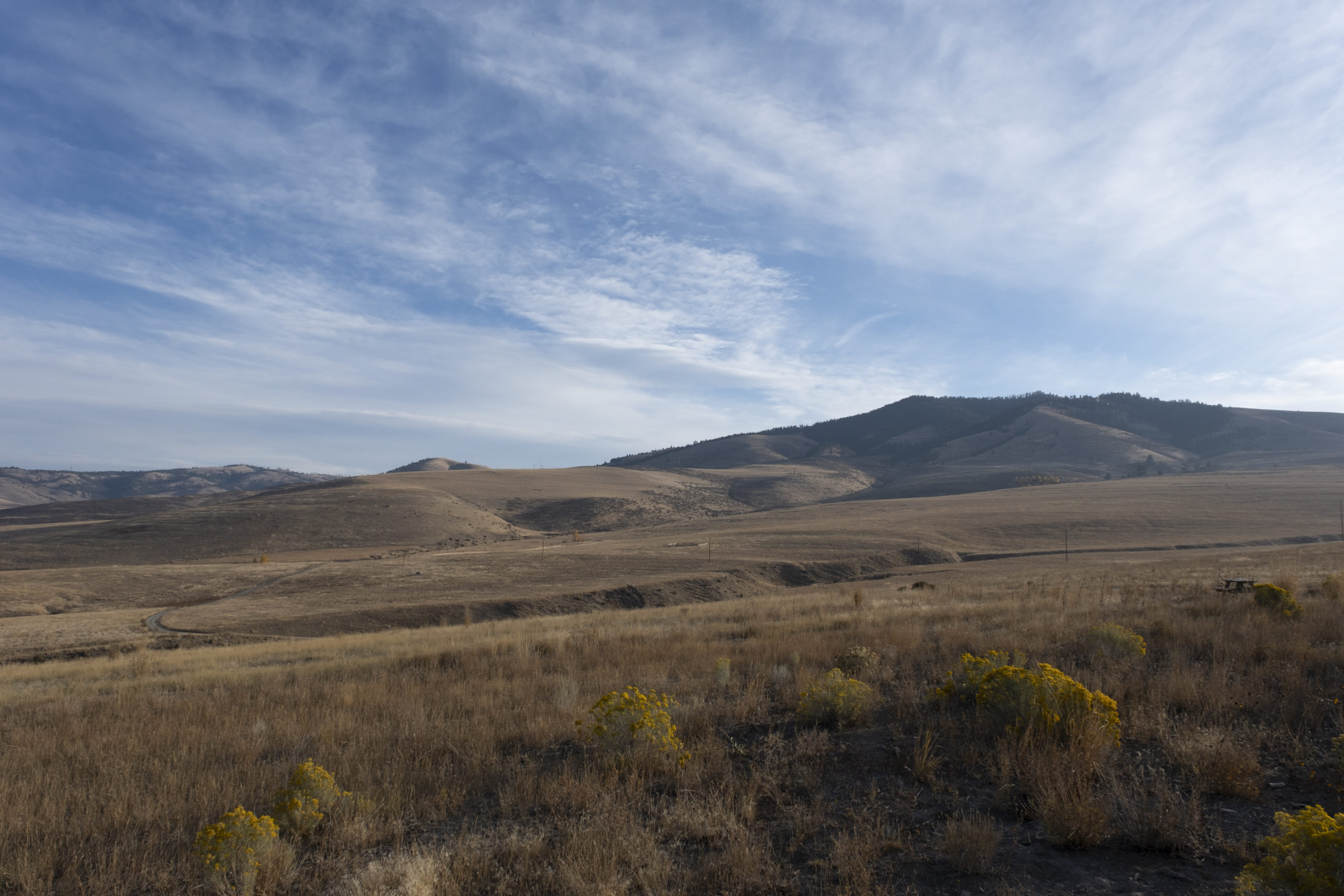 Mount Baldy overlooks the ranch and is the highest point of elevation on the property that hosts an ecosystem where subalpine firs thrive and big game like elk and mountain lions escape during the hot summer months.